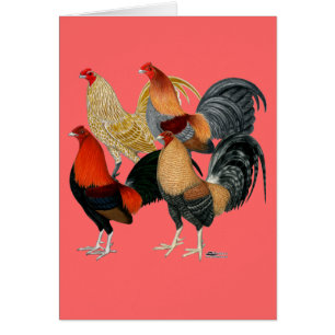 Cartão Quatro Gamecocks