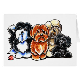 Cartão Quatro Havanese