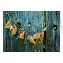 Cartão Quatro irmãs