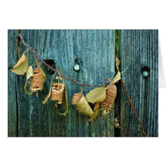 Cartão Quatro irmãs