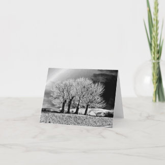 Cartão Quatro Irmãs