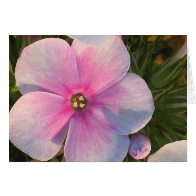 Cartão Quatro placas de ventilador O'Clock (Frente Horizontal)