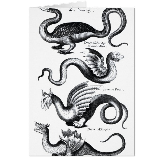 Cartão Quatro tipos de dragão (Frente)