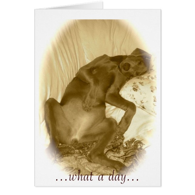 Cartão Que dia... (Frente)