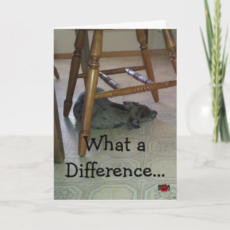 Cartão Que diferença um o ano faz!!!!