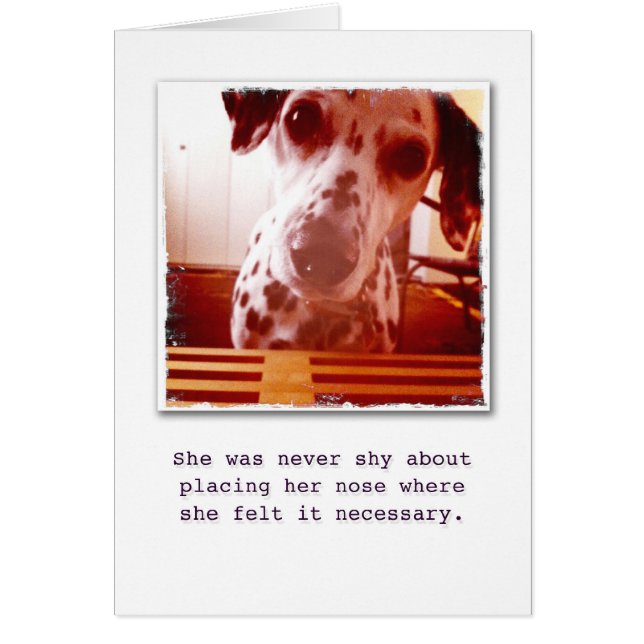 Cartão Que está acima? (Frente)