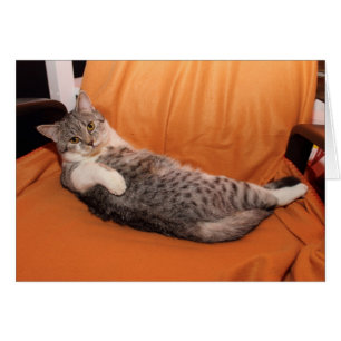 Cartão Que está acima? Comensal pronto?