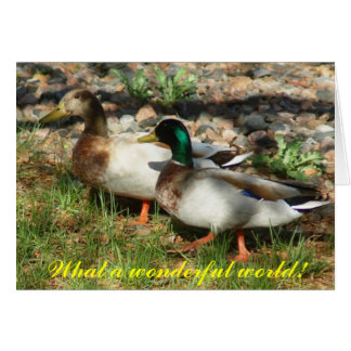 Cartão Que mundo maravilhoso!