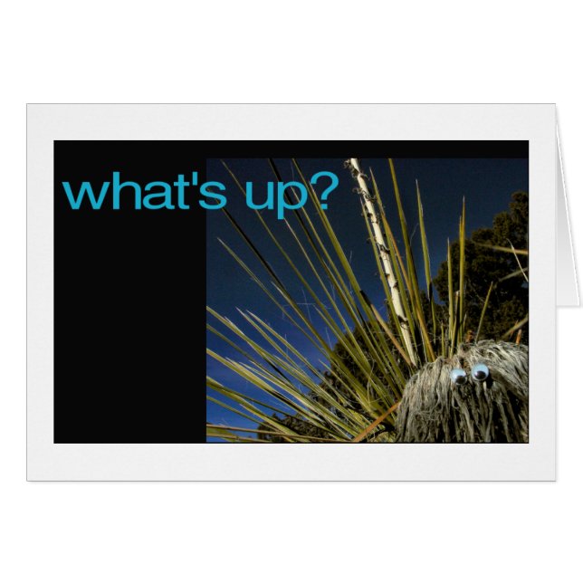 Cartão que se passa? (Frente horizontal)