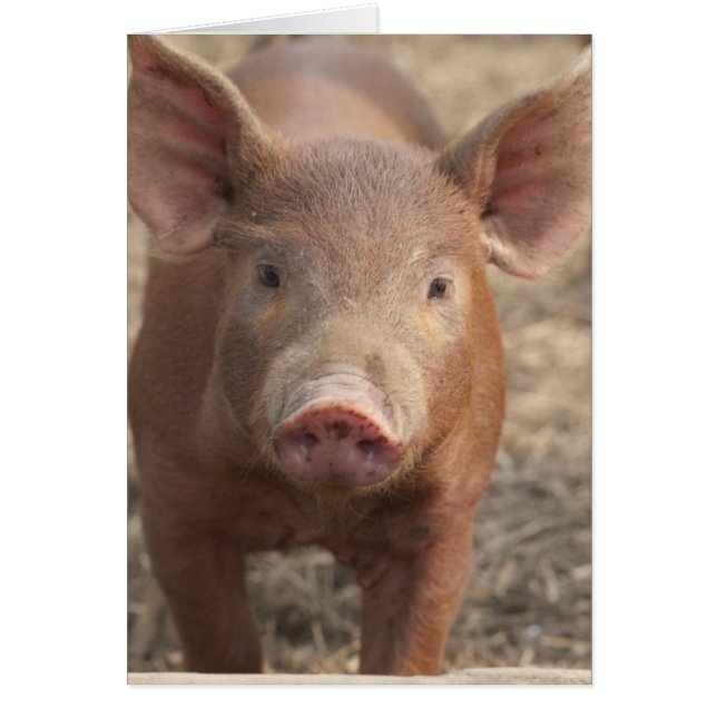 Cartão Que você disse? (Frente)