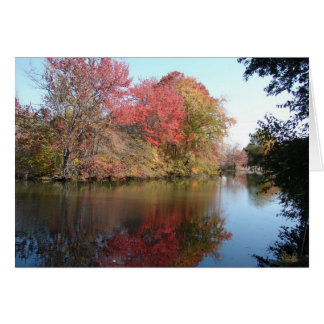 Cartão Queda Ao Longo Do Creek