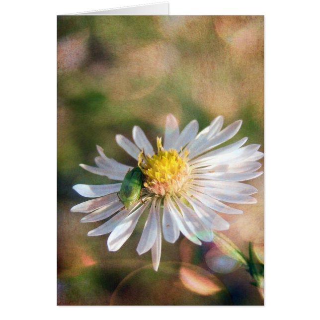 Cartão Queda aqui (Frente)