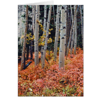 Cartão Queda de Aspens