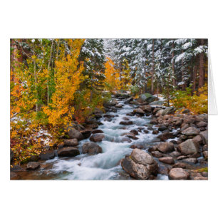 Cartão Queda de Bishop Creek, Califórnia