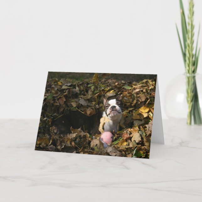 Cartão Queda de Martha (Frente)