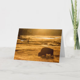 Cartão Queda de pesca