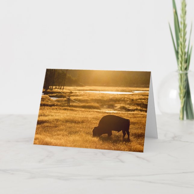 Cartão Queda de pesca (Frente)