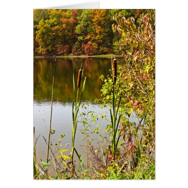 Cartão Queda na fazenda (Frente)