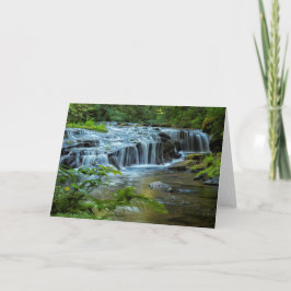 Cartão Quedas 4 da borda