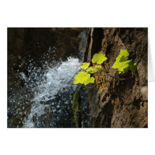 Cartão Quedas da água