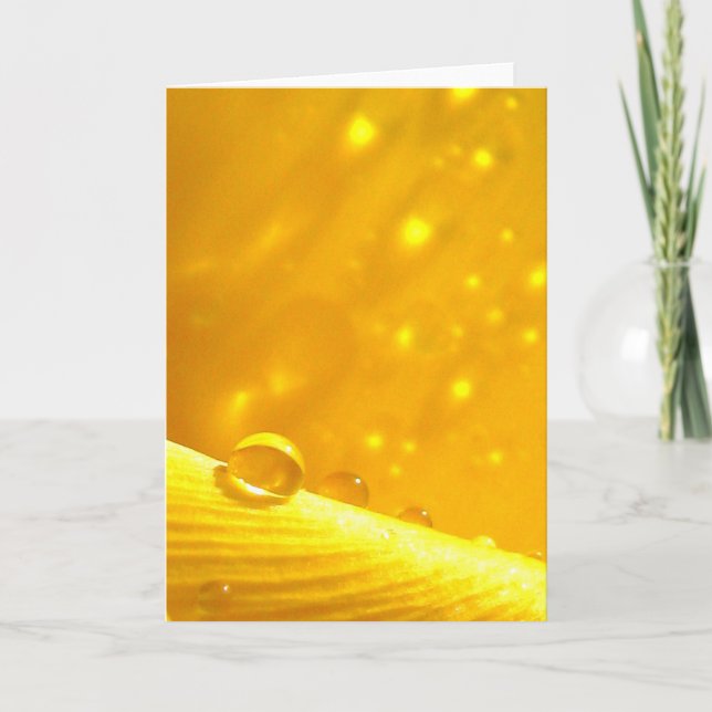 Cartão Quedas de areia, histórias na poesia natural (Frente)