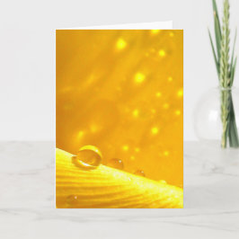 Cartão Quedas de areia, histórias na poesia natural