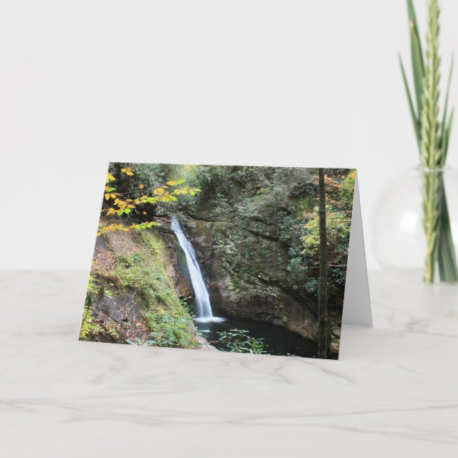 Cartão Quedas do tribunal (Frente)