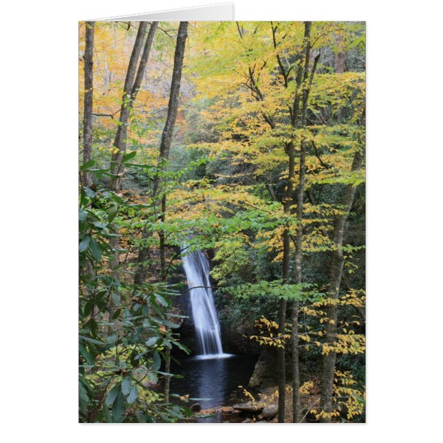 Cartão Quedas do Tribunal (Frente)