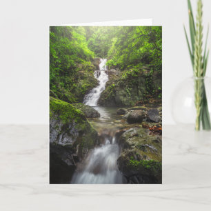 Cartão Quedas   Parque Nacional de Montanha de Phayao