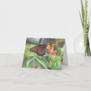 Cartão Queen Butterfly Notecard