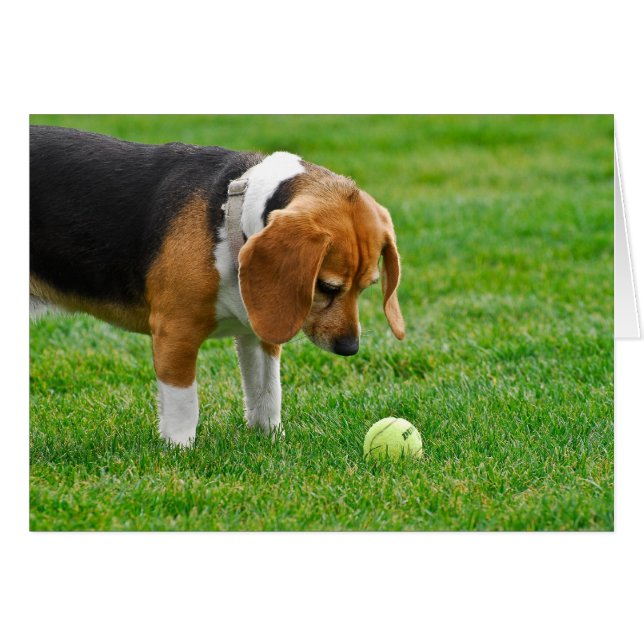 Cartão Queira jogar? (Frente Horizontal)