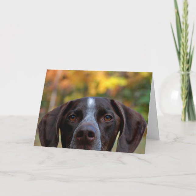 Cartão Quem Dat Dog? (Frente)