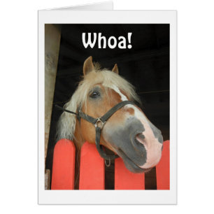 CARTÃO "QUEM DIZ O CAVALO" PARA O GRANDE "50"