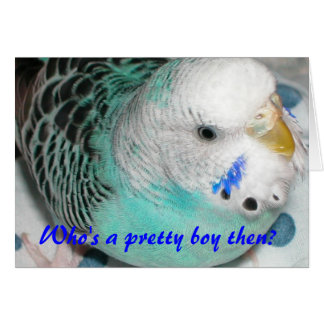 Cartão Quem é um garoto bonito?