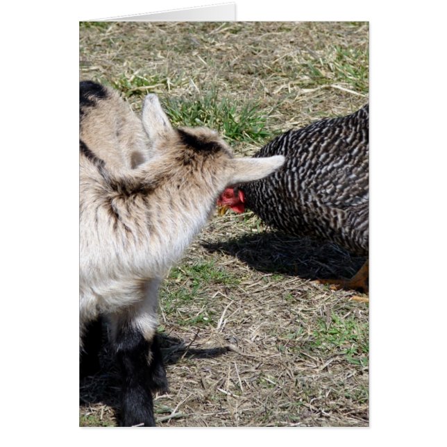 Cartão Quem É Você? (Frente)