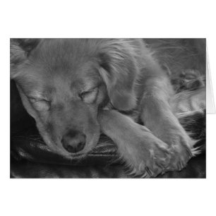 Cartão Quem tem telhados de vidro, não atira pedras aos