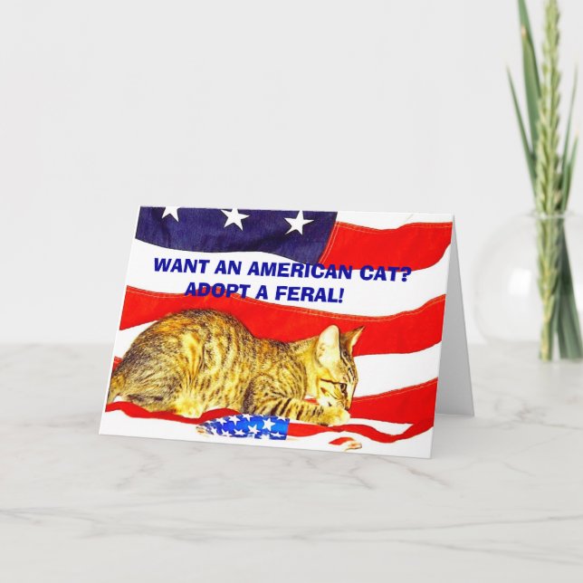 Cartão Quer um gato americano? Adote um Feral! (Frente)