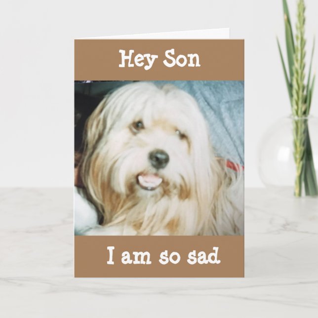 CARTÃO QUERIA QUE ISSO ESTIVESSE EM PESSOA "FELIZ ANIVERS (Frente)