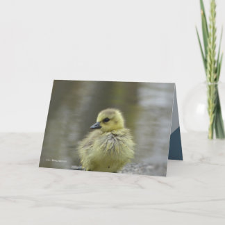 Cartão Querida Doce