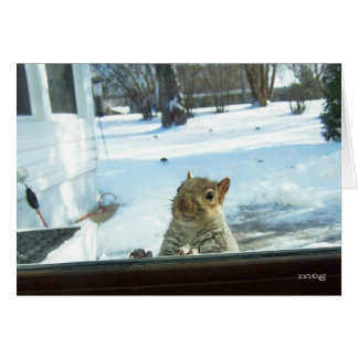 Cartão Querida, está frio lá fora