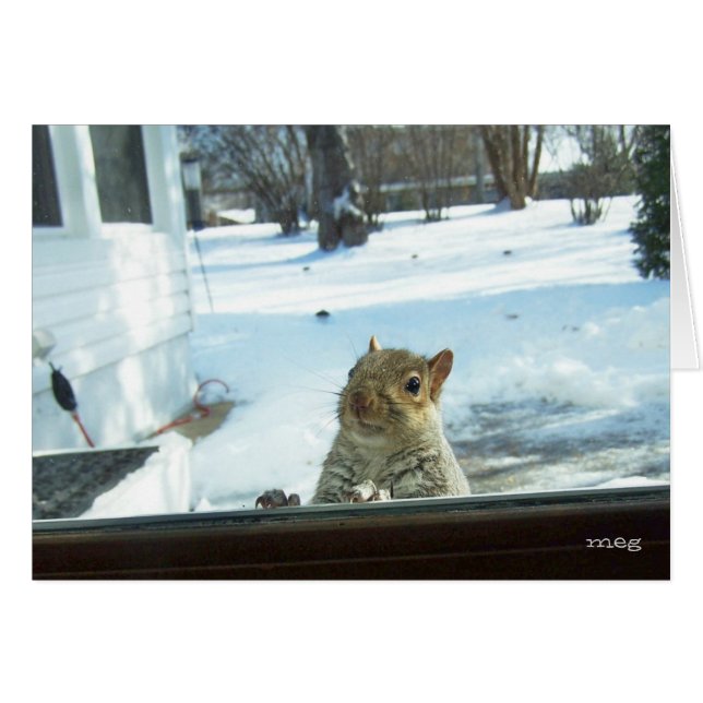 Cartão Querida, está frio lá fora (Frente Horizontal)