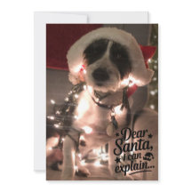 Querido Papai Noel, eu posso explicar (cachorro)