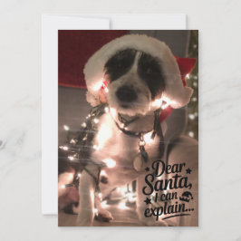 Cartão Querido Papai Noel, eu posso explicar (cachorro)