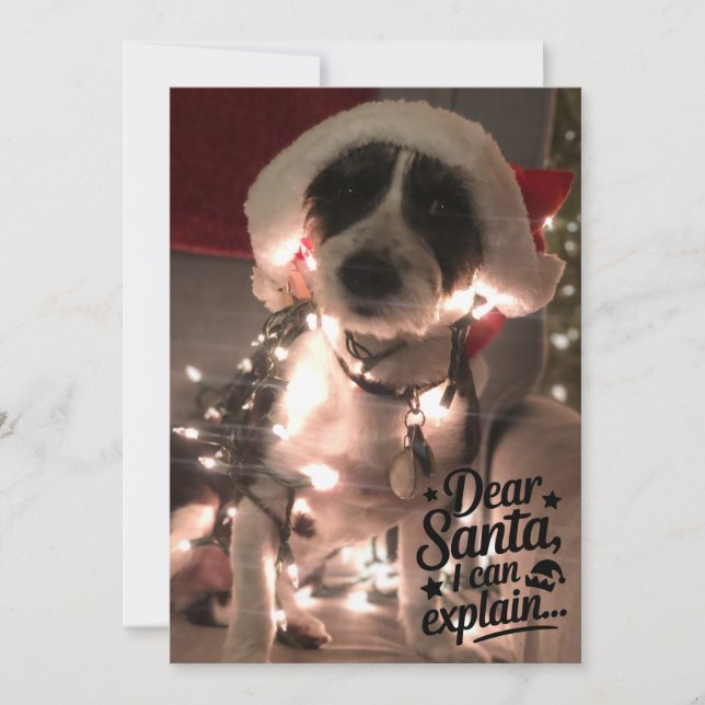 Cartão Querido Papai Noel, eu posso explicar (cachorro) (Frente)