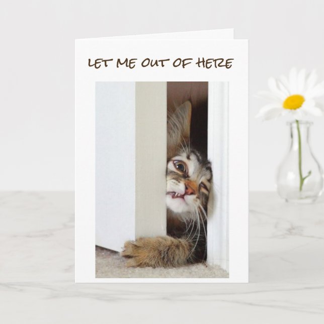 CARTÃO QUERO DIZER **FELIZ 13 ANIVERSÁRIO** ADOLESCENTE (Planta pequena)