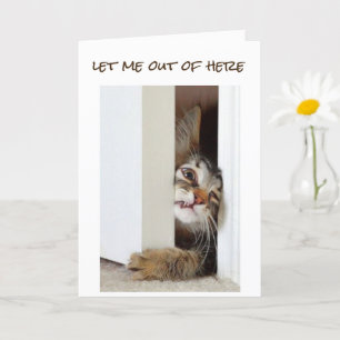 CARTÃO QUERO DIZER **FELIZ 16º ANIVERSÁRIO** PARA "VOCÊ"