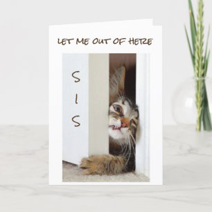 CARTÃO QUERO DIZER **FELIZ ANIVERSÁRIO SIS***