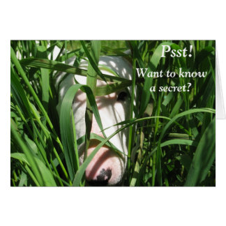 Cartão Quero saber um segredo