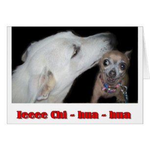 Cartão Qui hua hua de IEEE