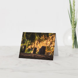 Cartão Quieto Sunset